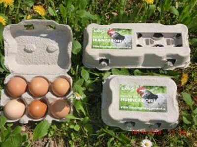 Eier vom Hühnermobil/Kraus
