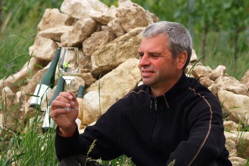 Bio Weingut Josef Salomon_Bio Weingut Josef Salomon