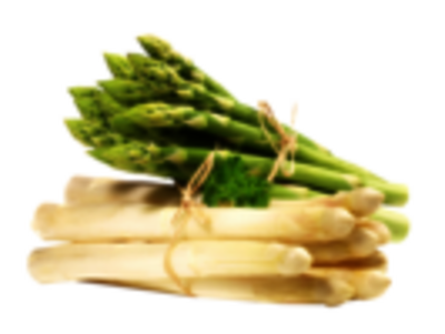 Spargel
