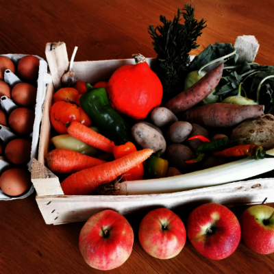 Angebote nach Saison