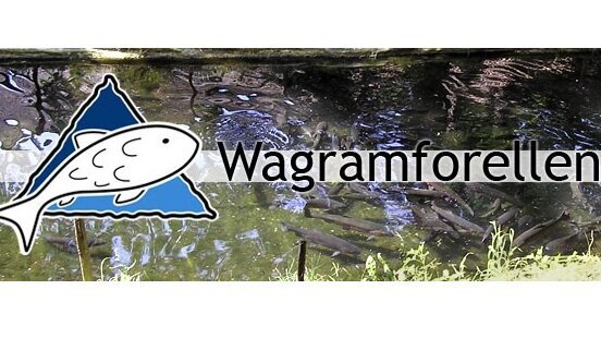 Forellen im Wasser mit Logo und Schriftzug Wagramforellen