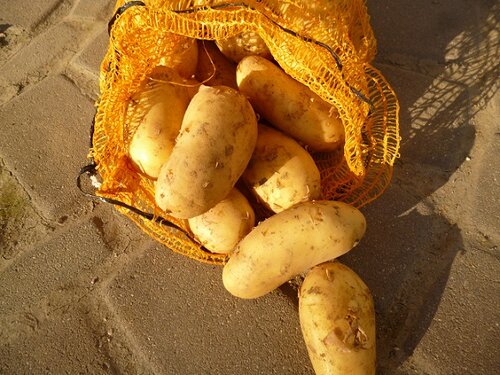 Kartoffelsack_Graf-Greis Kartoffelsack_Graf-Greis