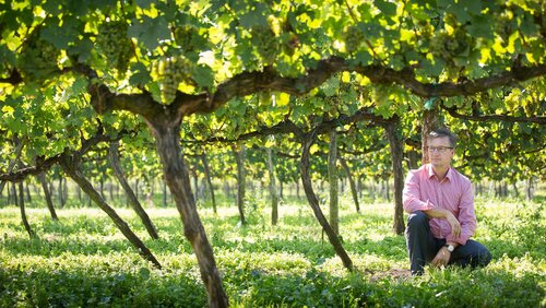 Herr Fritz im Weingarten