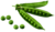  © 