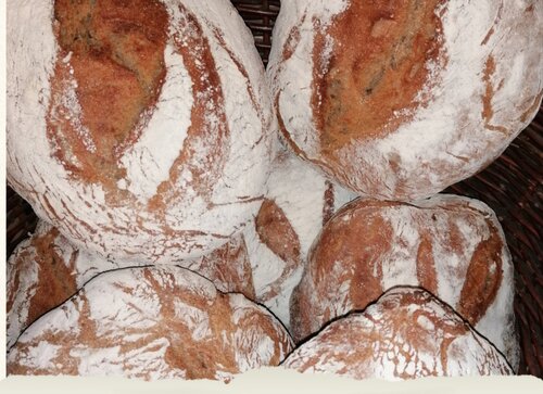 Brotlaibe im Korb
