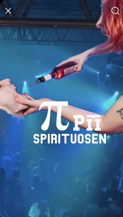 Erdbeer Likör 0,5l 15%Vol