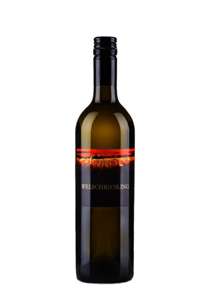 Welschriesling