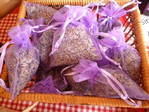 Trockenblumen, Lavendel_Graf-Greis