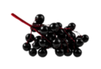 Holunderbeeren