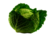 © 