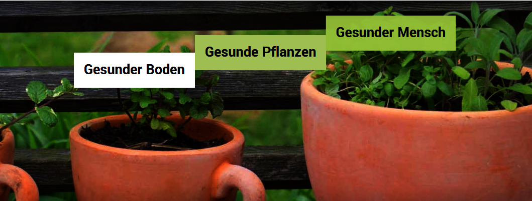 Gesunder Boden, gesunde Pflanzen, gesunder Mensch mit Pflanzen im Hintergrund