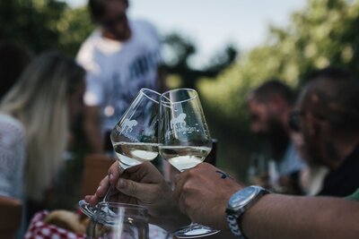 Bio Weißwein - Grüner Veltliner