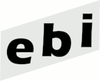 Verein ebi - Eigenständige Bildungsinitiativen