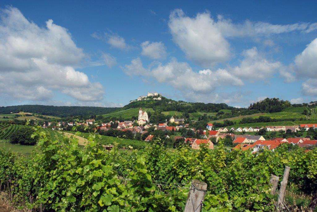 Bio Weingut Josef Salomon_Bio Weingut Josef Salomon