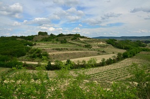 Weingut Lutzer