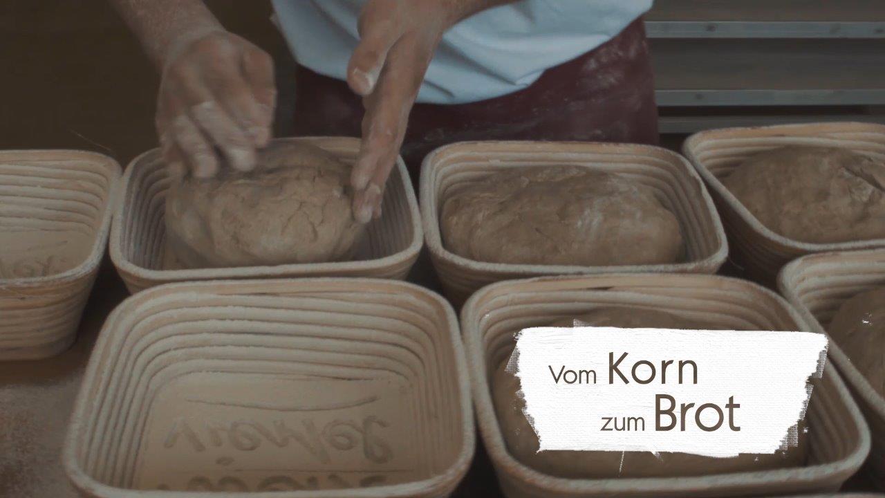 Vom Korn zum Brot_LEADER Region Weinviertel Ost