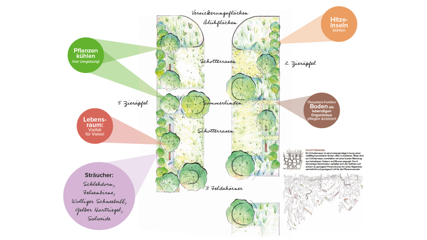 Planungsskizze der Fläche
