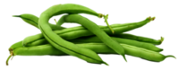 Fisolen